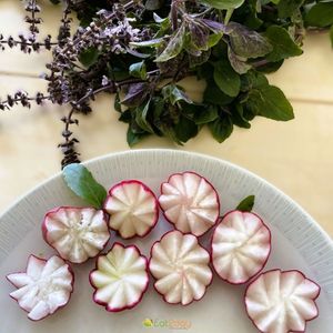 Gesundes Mittagessen, gesundes Team: frische Zutaten