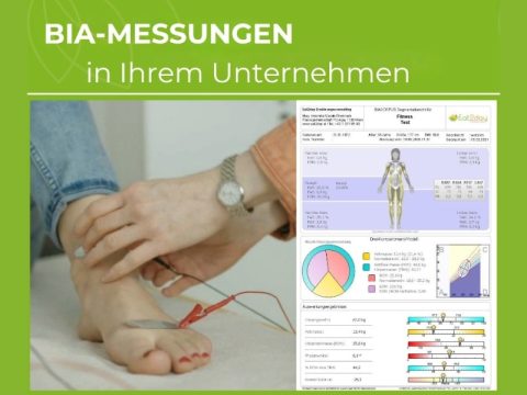 Info Bild BIA-Messung im Unternehmen