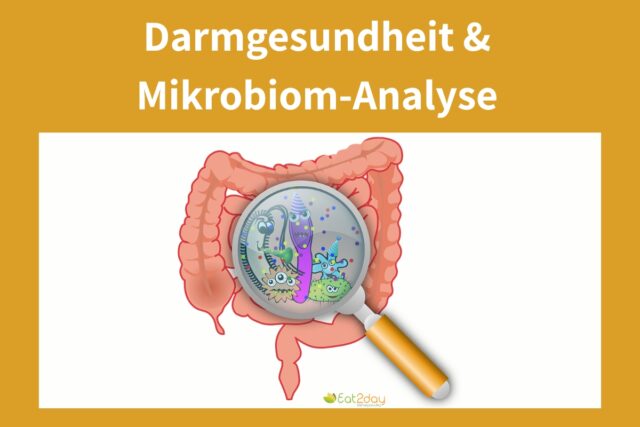 Darmgesundheit und Mikrobiom-Analyse