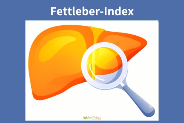 Fettleber-Index