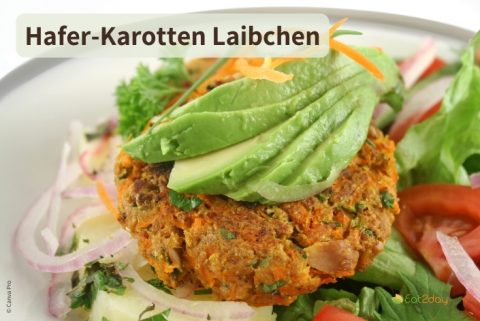 Ein Hafer-Karotten-Laibchen auf einem weißen Teller, garniert mit Avocadoscheiben und frischen Kräutern, serviert auf einem gemischten Salat mit Tomaten und roten Zwiebeln. Oben im Bild steht der Titel ‚Hafer-Karotten Laibchen‘.