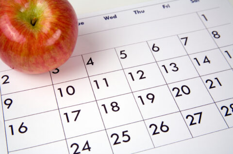 Kalender Apfel