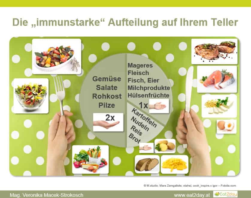 Figurfreunde - Tellermodell: immunstarke Lebensmittelgruppen u.a. Ballaststoffe, Eiweiß, Kohlenhydrate